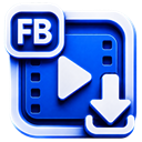 VidPulse - Facebook Video Downloader